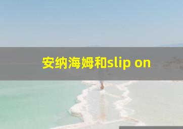 安纳海姆和slip on